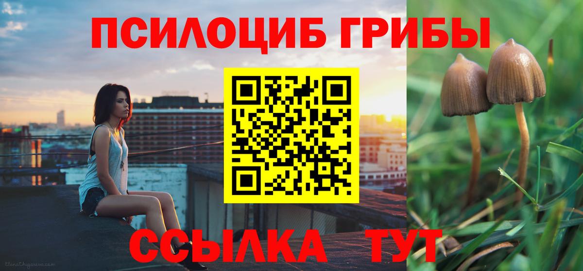 купить наркотик  Вход с VPN  Томск  Галлюциногенные грибы MAGIC MUSHROOMS 