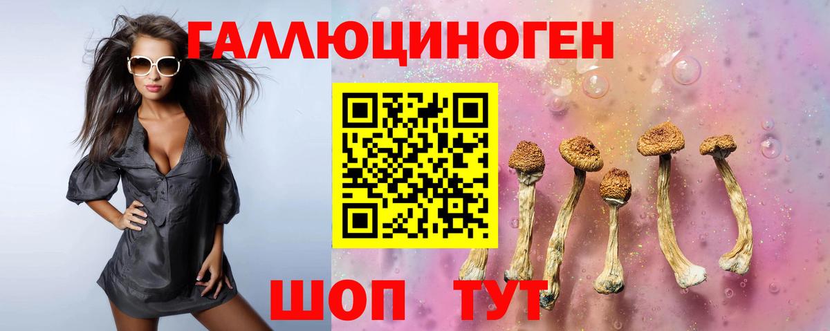Псилоцибиновые грибы GOLDEN TEACHER Томск