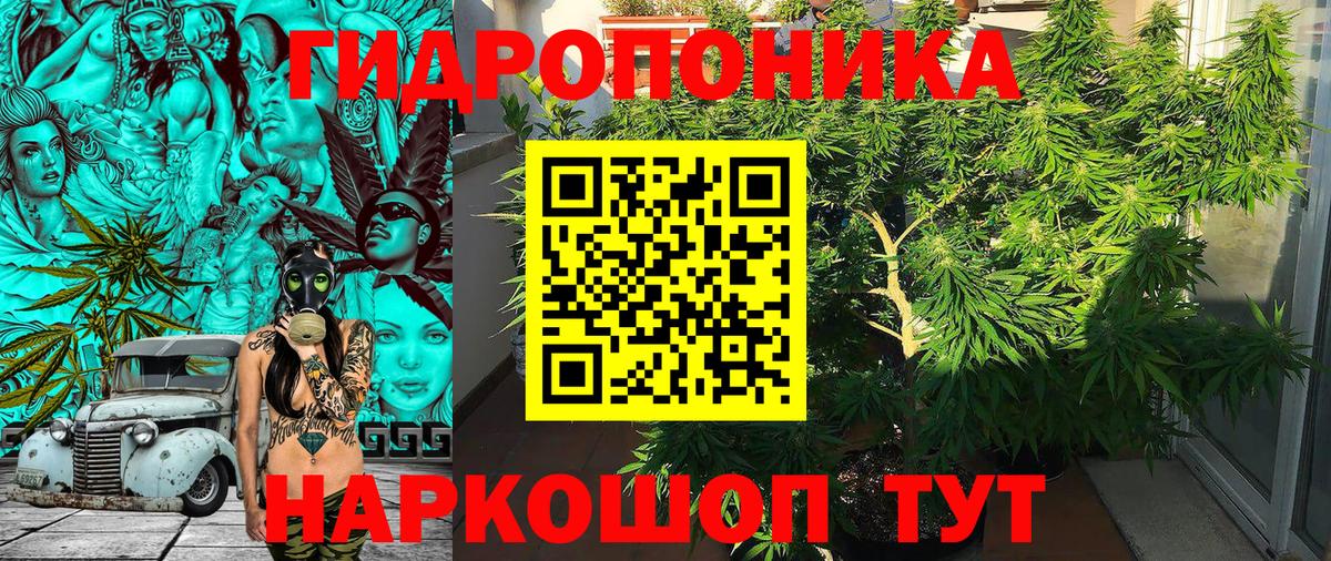 Каннабис сатива  Бошки Шишки VHQ  Бошки марихуана конопля  Вход с VPN  Томск 